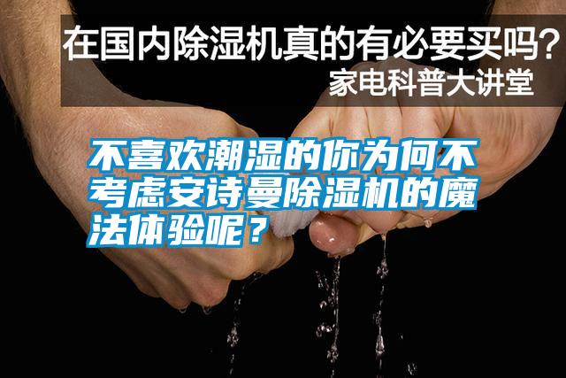 不喜歡潮濕的你為何不考慮安詩曼除濕機的魔法體驗呢？