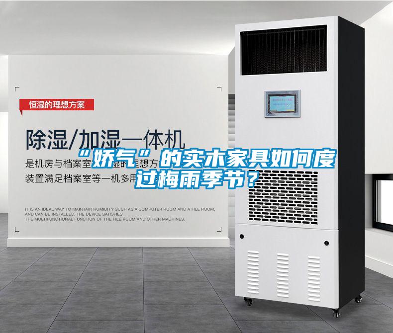 “嬌氣”的實(shí)木家具如何度過梅雨季節(jié)？