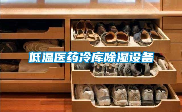 低溫醫(yī)藥冷庫除濕設備