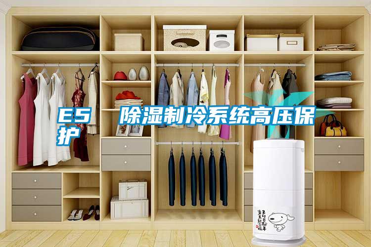 E5 除濕制冷系統高壓保護