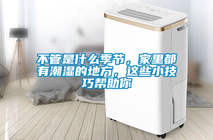 不管是什么季節(jié)，家里都有潮濕的地方，這些小技巧幫助你