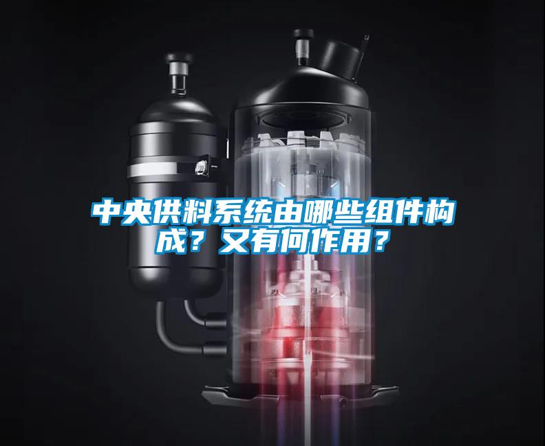 中央供料系統由哪些組件構成？又有何作用？