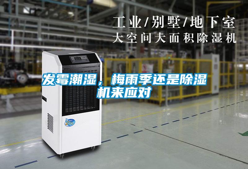 發霉潮濕，梅雨季還是除濕機來應對