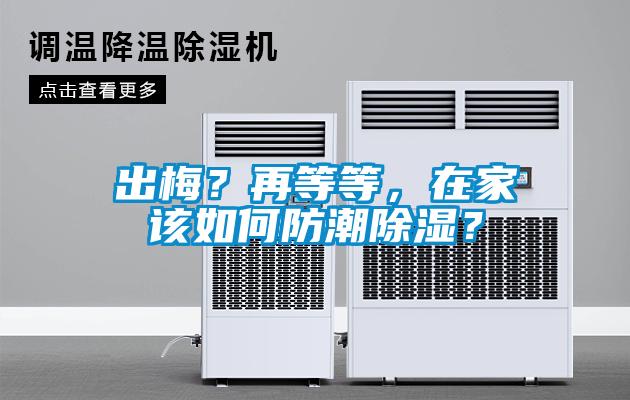 出梅？再等等，在家該如何防潮除濕？
