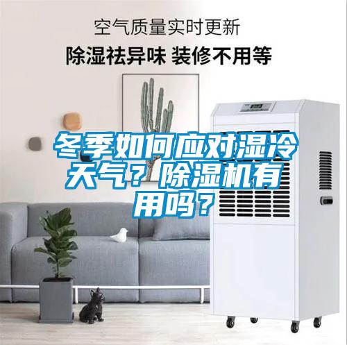 冬季如何應(yīng)對濕冷天氣？除濕機(jī)有用嗎？