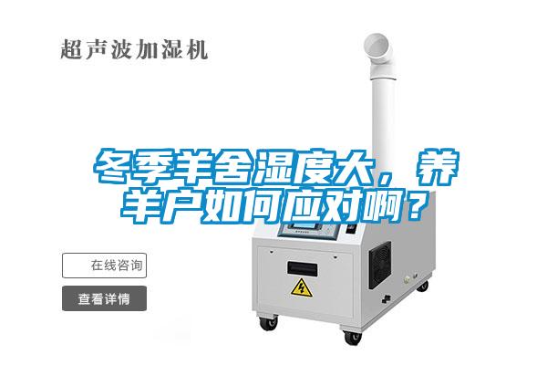 冬季羊舍濕度大，養(yǎng)羊戶如何應(yīng)對啊？