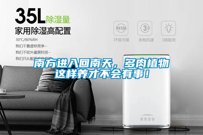 南方進(jìn)入回南天，多肉植物這樣養(yǎng)才不會有事！