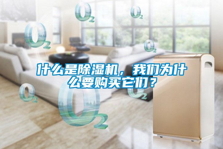 什么是除濕機，我們為什么要購買它們？