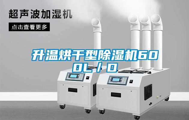 升溫烘干型除濕機(jī)600L/D