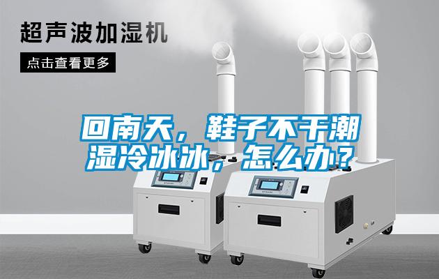 回南天，鞋子不干潮濕冷冰冰，怎么辦？