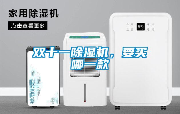 雙十一除濕機，要買哪一款