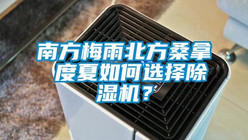 南方梅雨北方桑拿 度夏如何選擇除濕機？