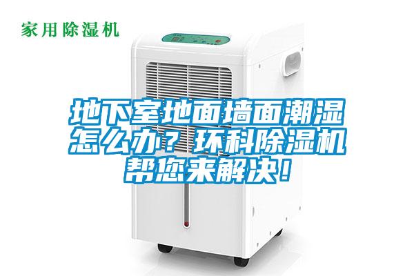 地下室地面墻面潮濕怎么辦?環科除濕機幫您來解決!