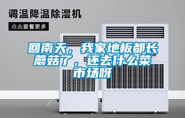 回南天，我家地板都長蘑菇了，還去什么菜市場呀