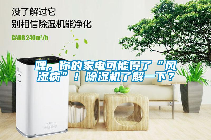 嘿，你的家電可能得了“風(fēng)濕病”！除濕機(jī)了解一下？