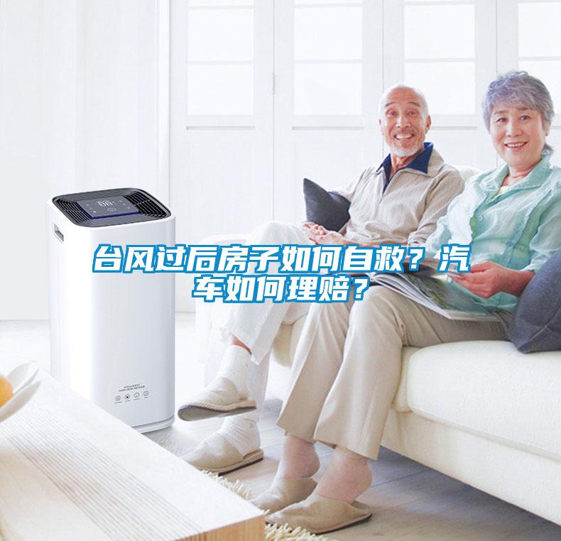 臺風過后房子如何自救？汽車如何理賠？