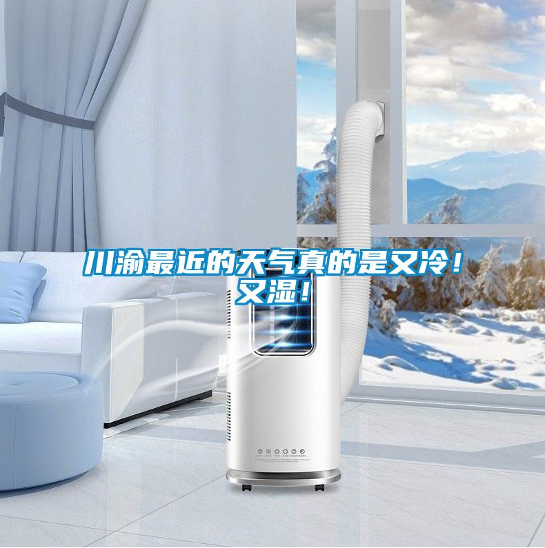 川渝最近的天氣真的是又冷！又濕！