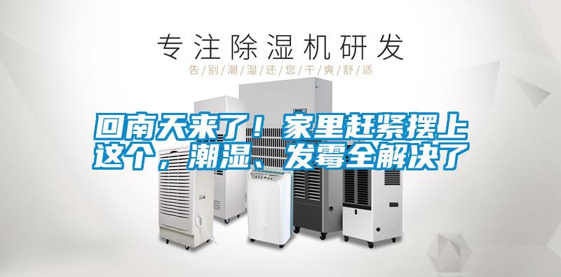 回南天來了！家里趕緊擺上這個(gè)，潮濕、發(fā)霉全解決了