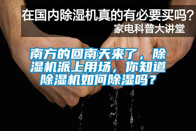 南方的回南天來了，除濕機(jī)派上用場，你知道除濕機(jī)如何除濕嗎？