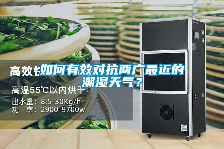 如何有效對抗兩廣最近的潮濕天氣?