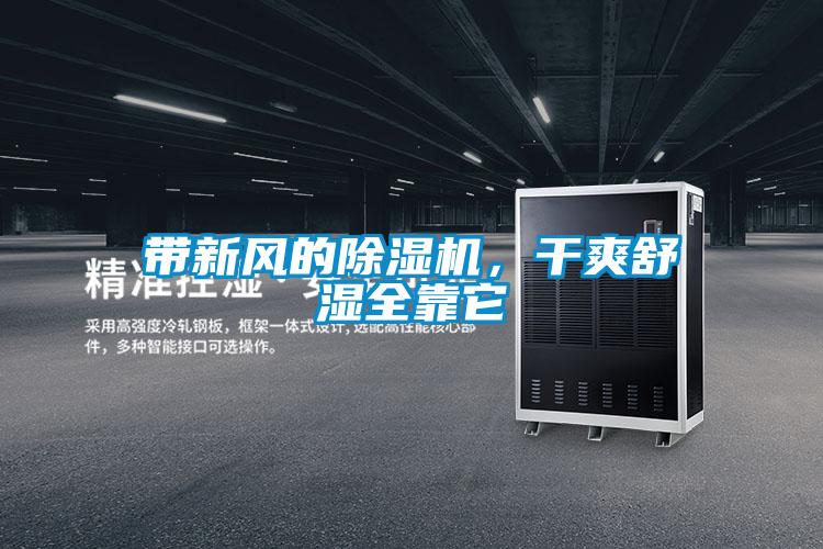 帶新風的除濕機，干爽舒濕全靠它