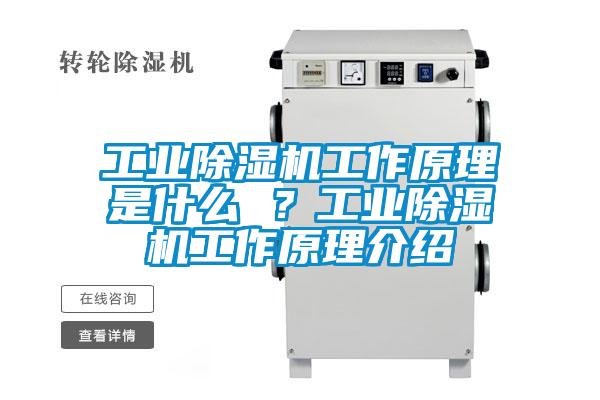 工業除濕機工作原理是什么 ？工業除濕機工作原理介紹