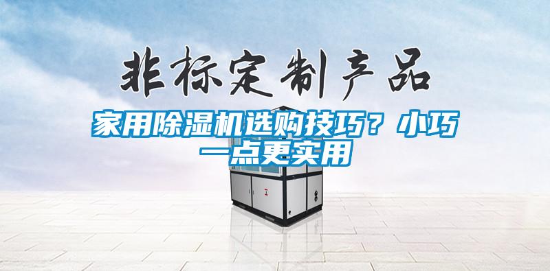 家用除濕機(jī)選購(gòu)技巧？小巧一點(diǎn)更實(shí)用