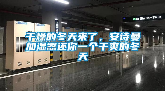 干燥的冬天來了，安詩曼加濕器還你一個干爽的冬天