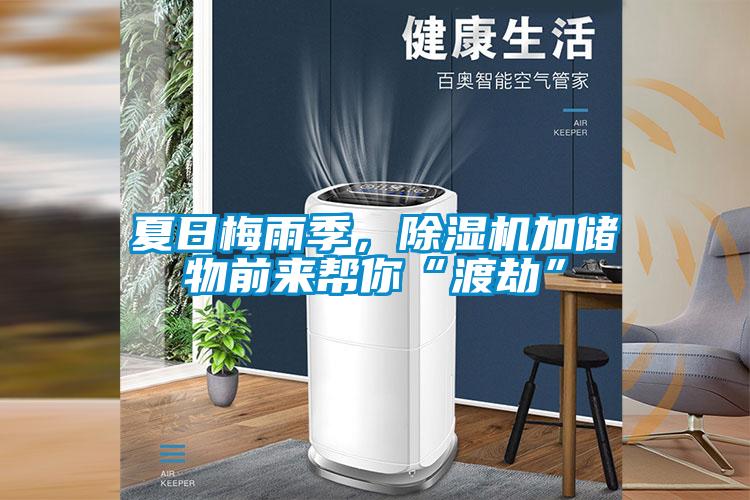 夏日梅雨季，除濕機加儲物前來幫你“渡劫”