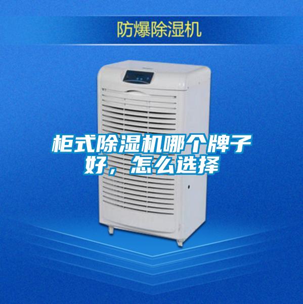 柜式除濕機哪個牌子好，怎么選擇