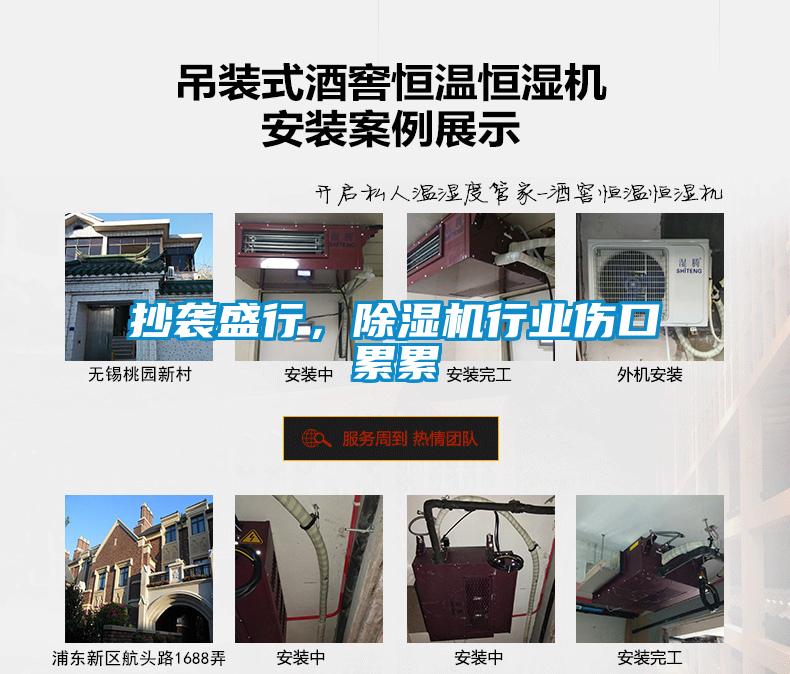 抄襲盛行，除濕機行業(yè)傷口累累