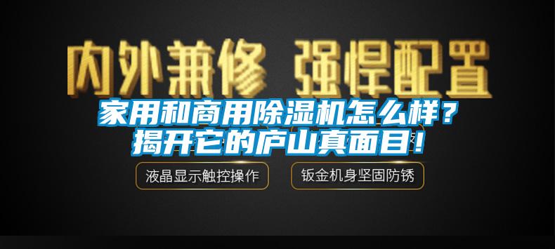 家用和商用除濕機怎么樣？揭開它的廬山真面目！