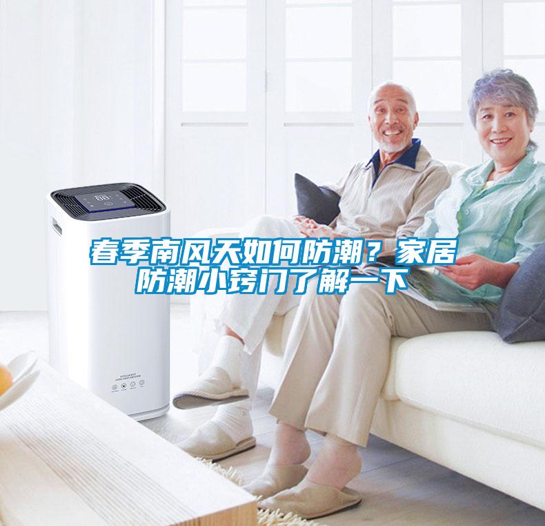 春季南風天如何防潮？家居防潮小竅門了解一下