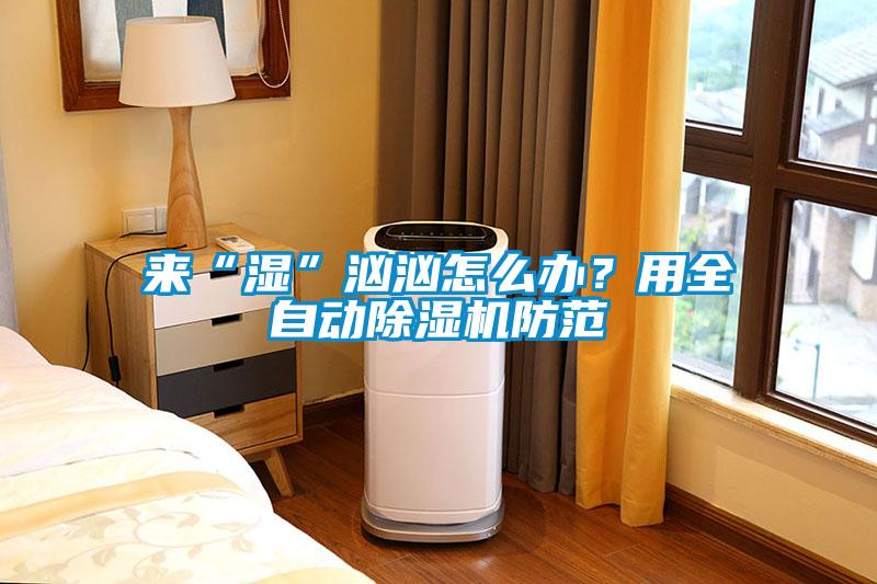 來“濕”洶洶怎么辦？用全自動除濕機防范