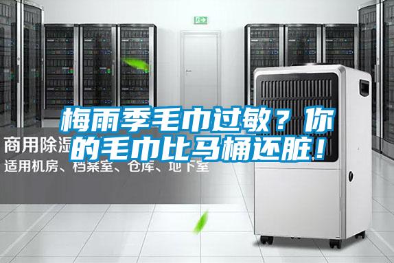 梅雨季毛巾過敏？你的毛巾比馬桶還臟！
