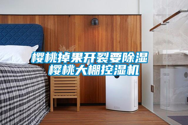 櫻桃掉果開(kāi)裂要除濕 櫻桃大棚控濕機(jī)