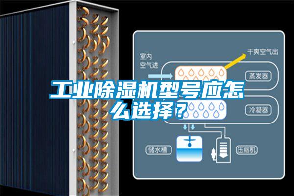 工業除濕機型號應怎么選擇？