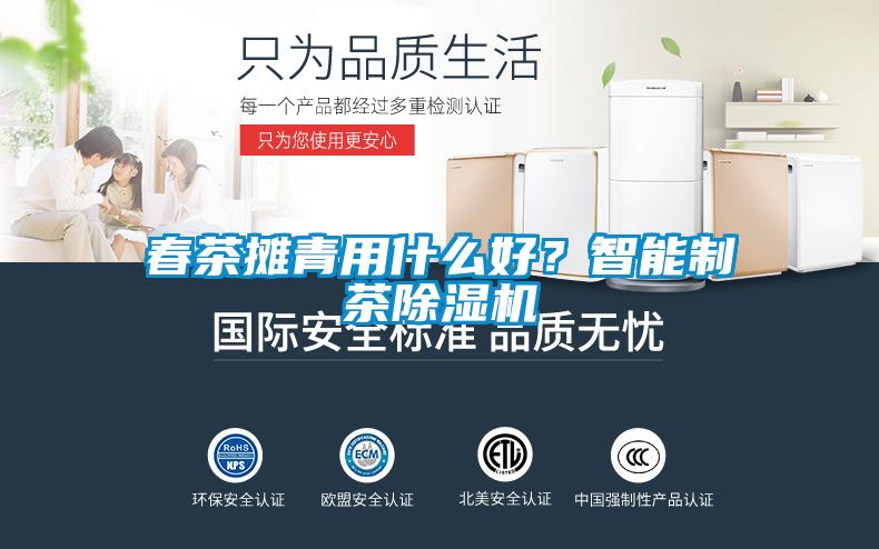 春茶攤青用什么好？智能制茶除濕機(jī)