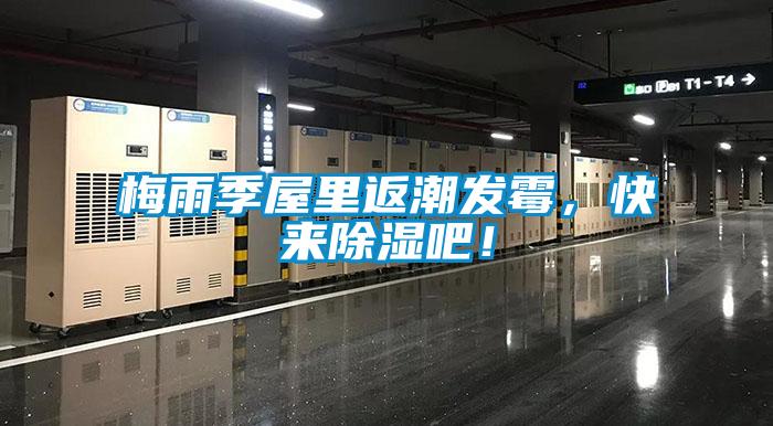 梅雨季屋里返潮發(fā)霉，快來(lái)除濕吧！