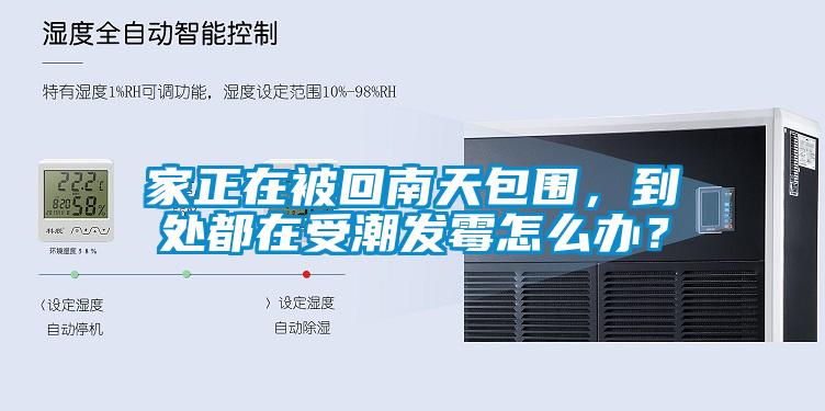 家正在被回南天包圍，到處都在受潮發霉怎么辦？