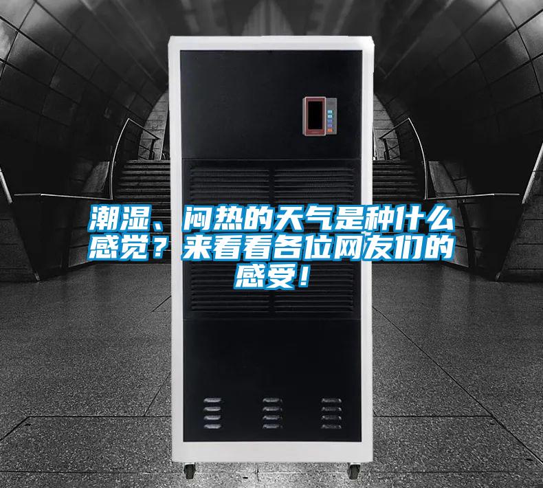潮濕、悶熱的天氣是種什么感覺？來看看各位網(wǎng)友們的感受！