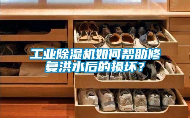 工業(yè)除濕機如何幫助修復洪水后的損壞？