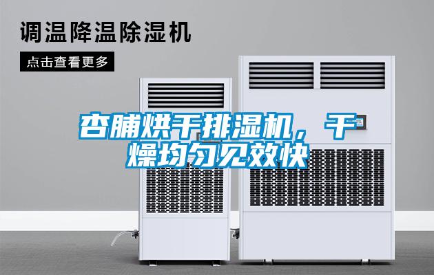杏脯烘干排濕機，干燥均勻見效快