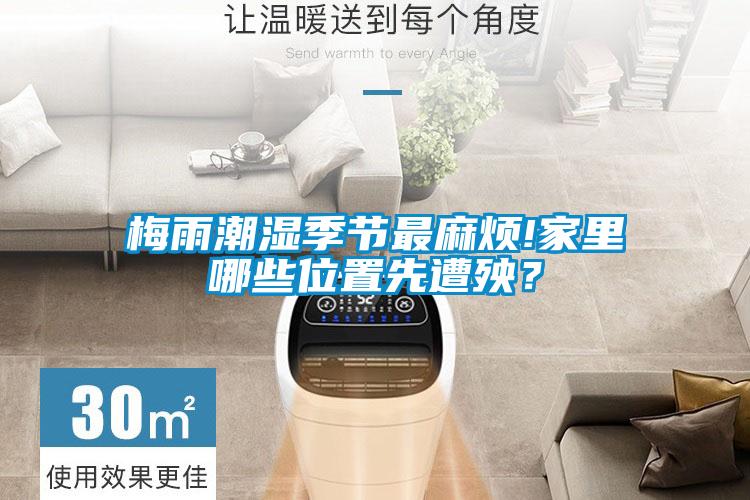 梅雨潮濕季節(jié)最麻煩!家里哪些位置先遭殃？
