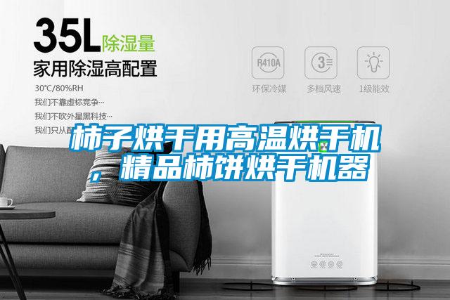 柿子烘干用高溫烘干機，精品柿餅烘干機器