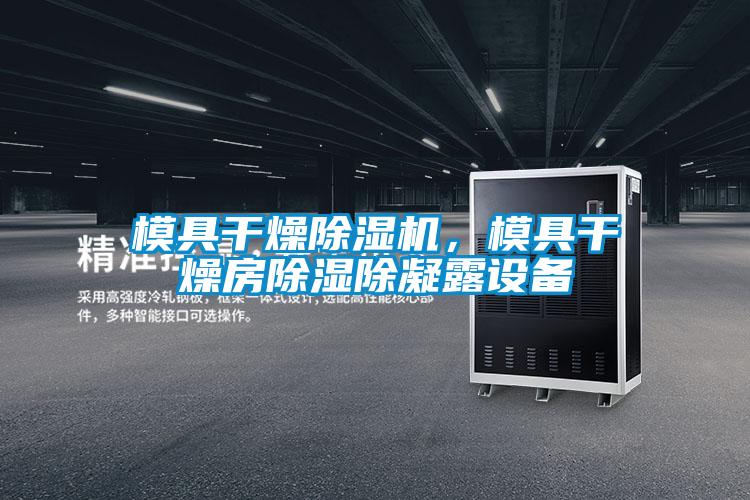 模具干燥除濕機，模具干燥房除濕除凝露設備