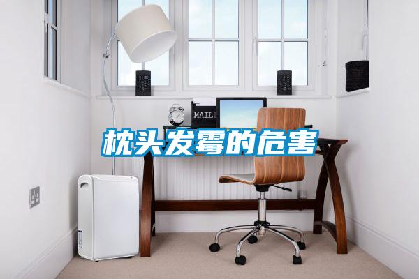 枕頭發霉的危害