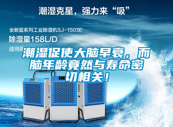 潮濕促使大腦早衰，而腦年齡竟然與壽命密切相關！
