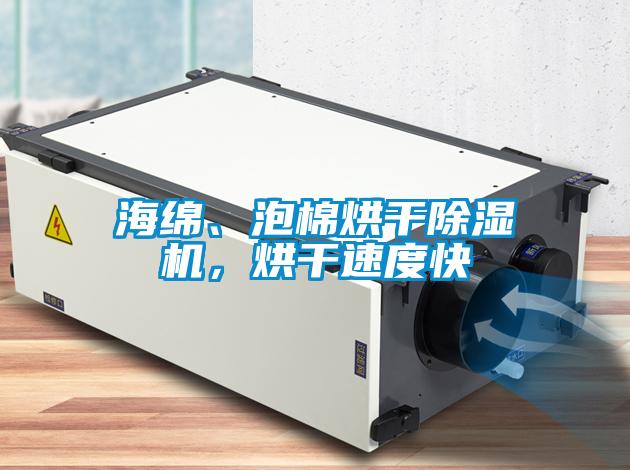 海綿、泡棉烘干除濕機，烘干速度快