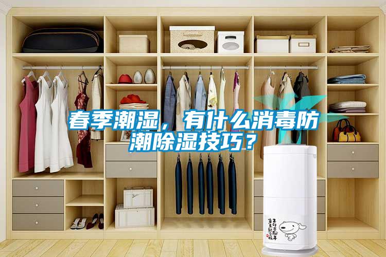 春季潮濕，有什么消毒防潮除濕技巧？